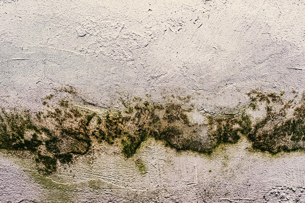 Lifting mildew spots caused by damp storage
